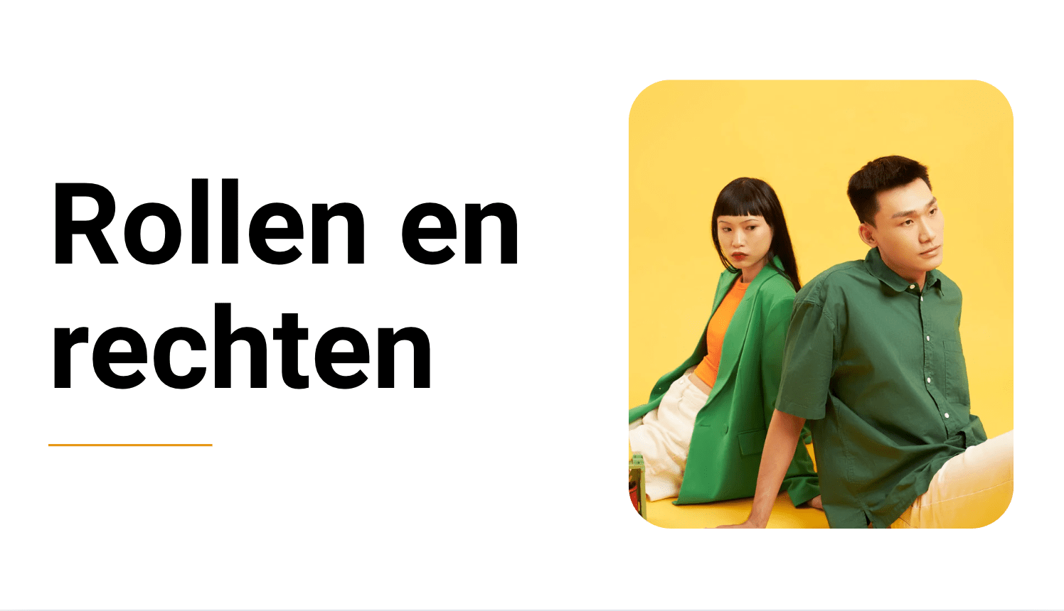 Rollen en rechten