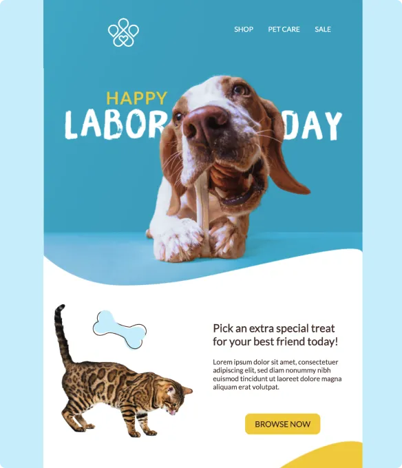 Email Template 1
